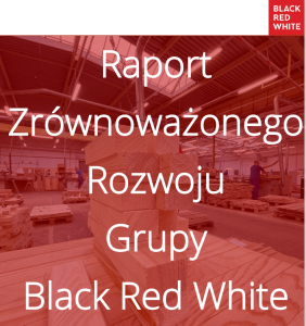 Raport zrównoważonego rozwoju